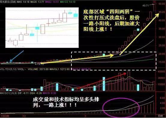 2023年澳门特马今晚开码-精选解释解析落实