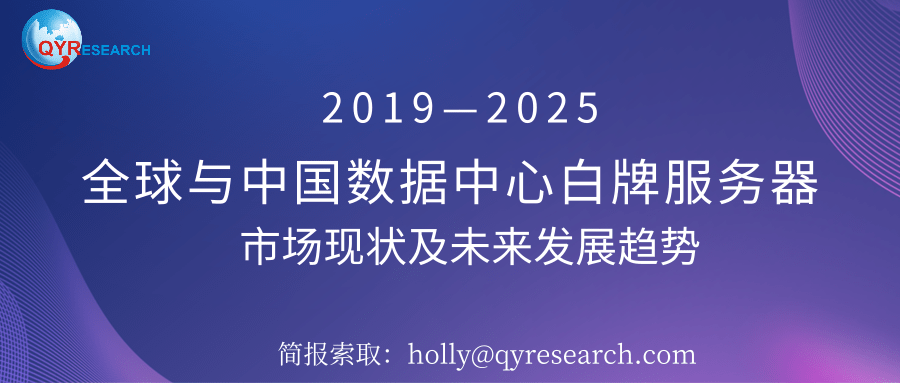 迈向未来，2025全年免费资料公开与精选资料解析大全