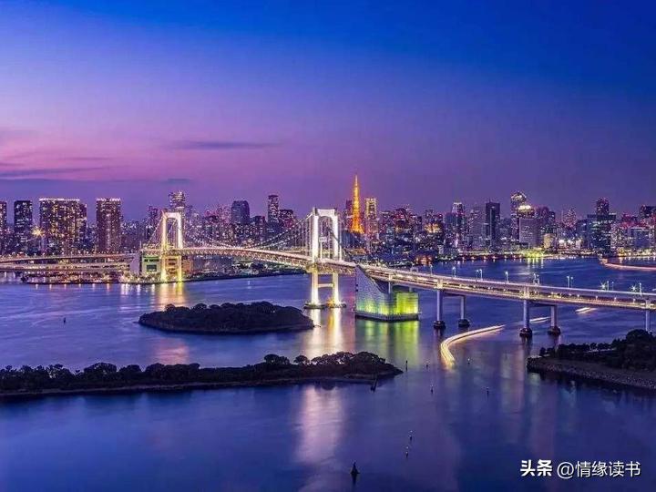 新澳门天天彩2025年全年资料,新澳门天天彩2025年全年资料解析与预测