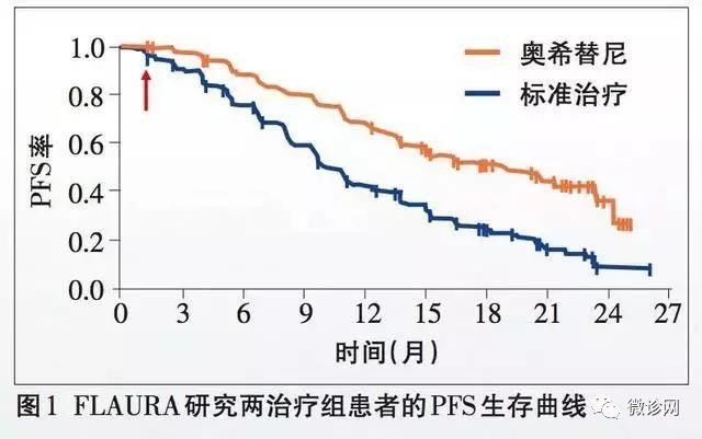 2025新澳精准极限二肖,探索未来，2025新澳精准极限二肖的魅力与挑战